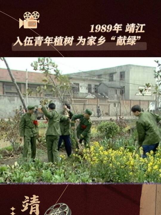 30年前的靖江义务植树活动