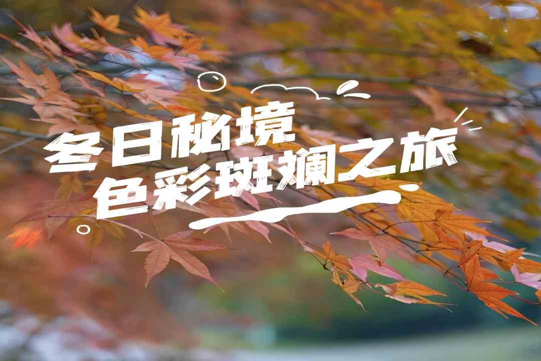 靖江如画的冬景