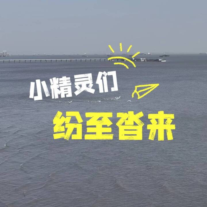 初冬时节，众多珍稀鸟类纷纷打卡靖江