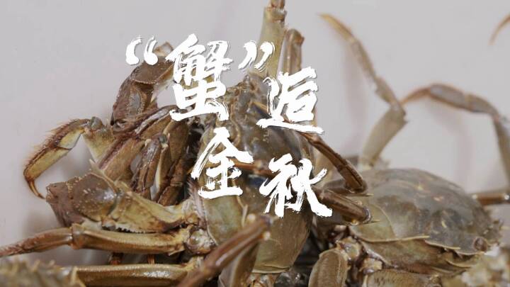 地产螃蟹销量旺