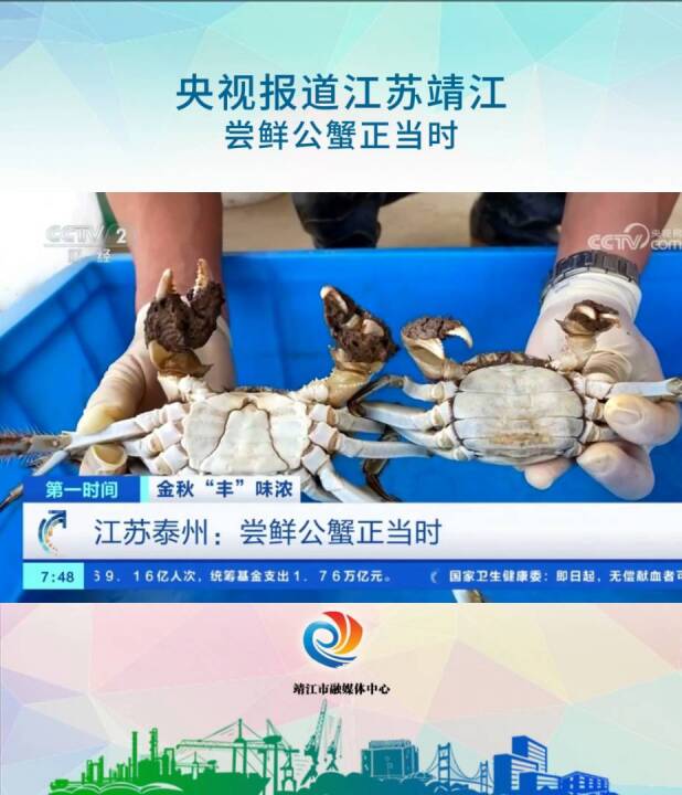 央视报道江苏靖江：尝鲜公蟹正当时