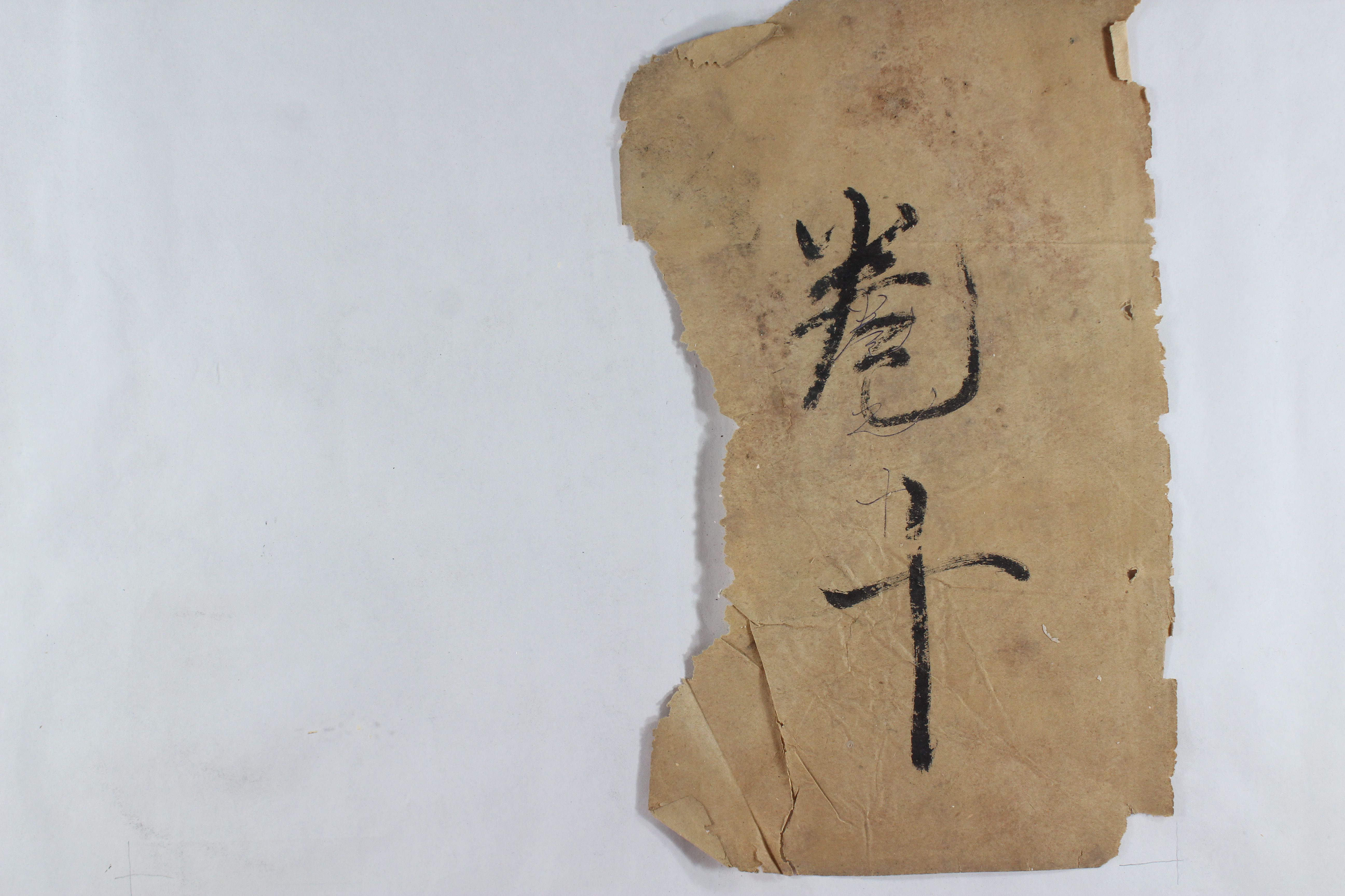 陈氏宗谱（文会堂） 卷十