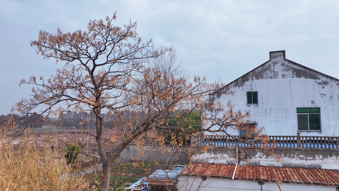 靖江有个王皮匠