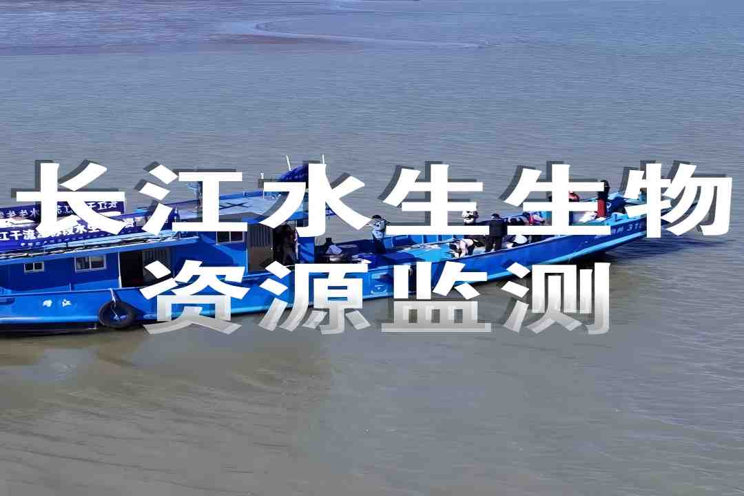 靖江致力长江大保护的成效逐渐显现