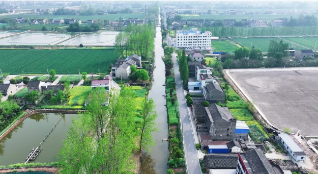 靖江这里有“美人”